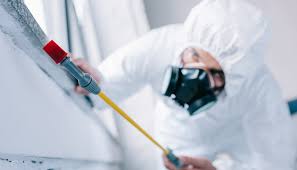 Best Pest Control for Warehouses  in Fort Belvoir, VA